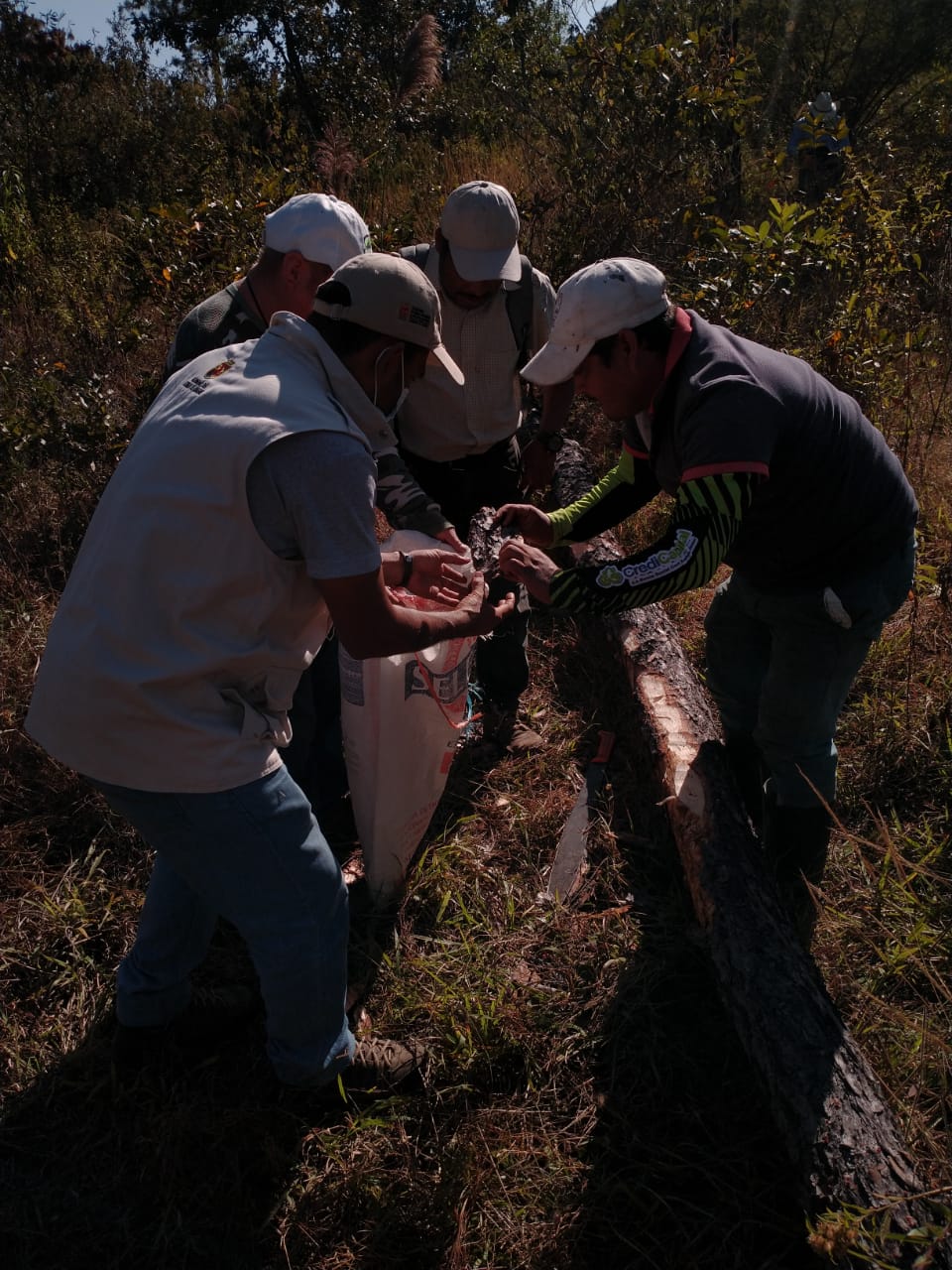 FOTOS SEMAHN (1)